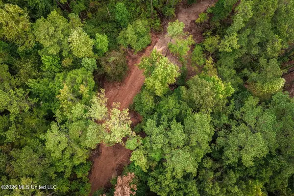 Smyrna Road Sw, Meadville, MS 39653