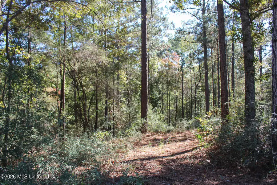 Marshal Place, Petal, MS 39465 - #3