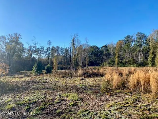 1169 Ole Springs Road, Summit, MS 39666 - #1