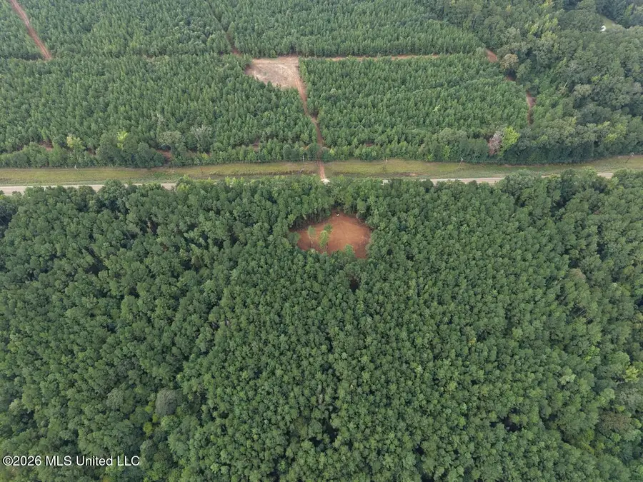 11853 Highway 24, Centreville, MS 39631 - #3