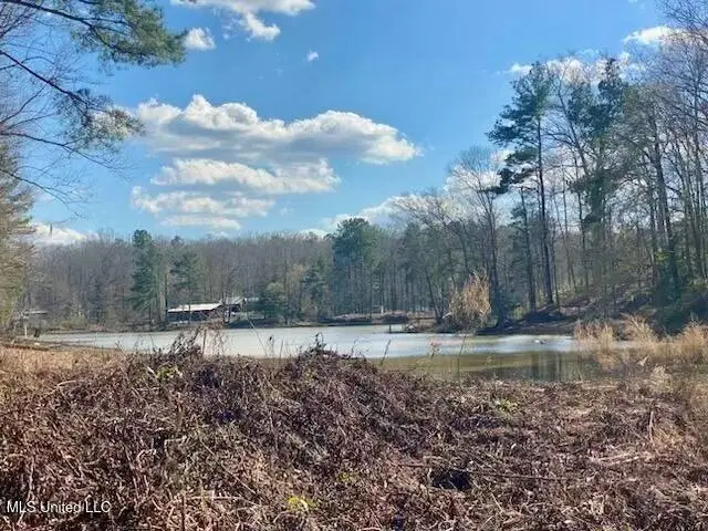 Lot 11 Turkey Creek Road, Natchez, MS 39120 - #3