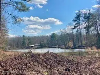 Lot 12 Turkey Creek Road, Natchez, MS 39120