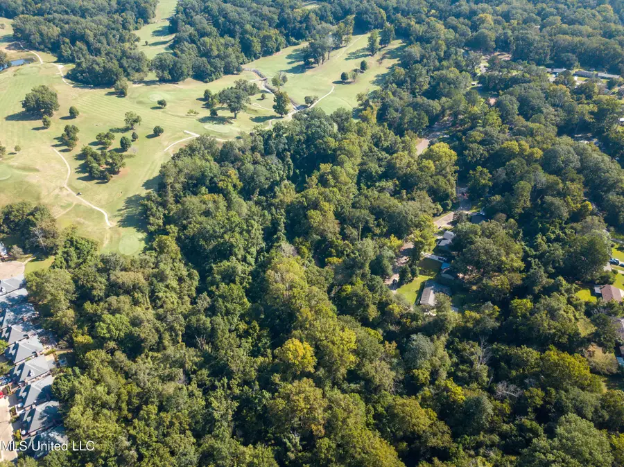 Moonmist Drive, Vicksburg, MS 39180 - #3