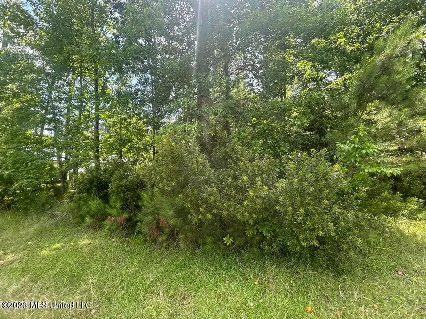 00 Pine Tree Road, Pachuta, MS 39347 - #1