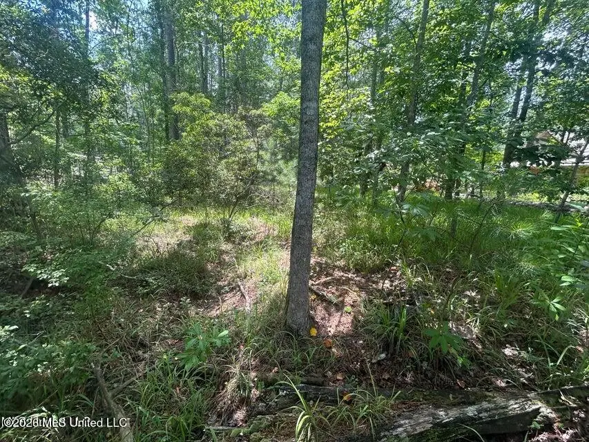 00 Pine Tree Road, Pachuta, MS 39347 - #3