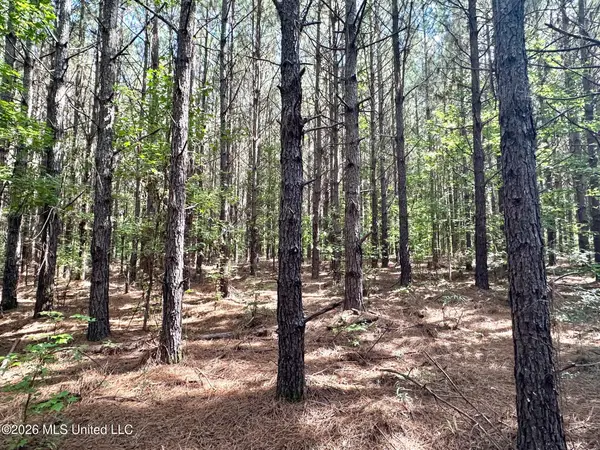 1 Dry Creek Road, Magee, MS 39111