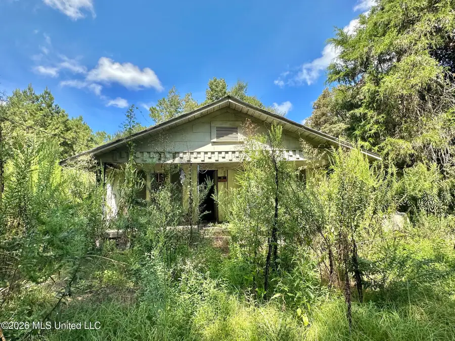 1 Dry Creek Road, Magee, MS 39111 - #3