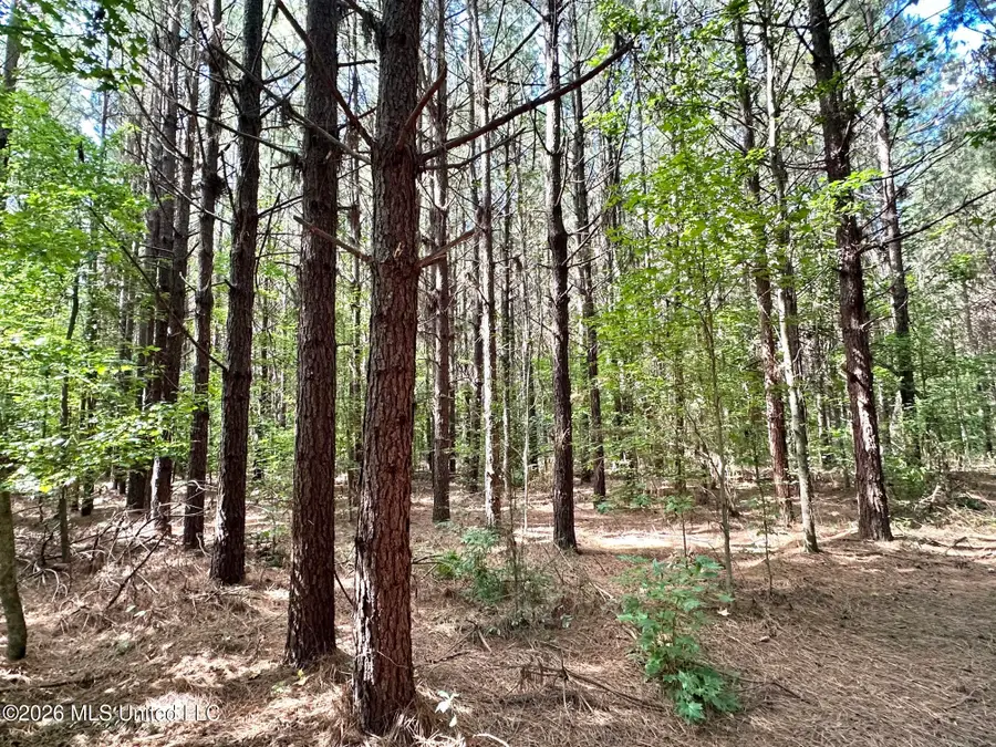 3 Dry Creek Road, Magee, MS 39111 - #2
