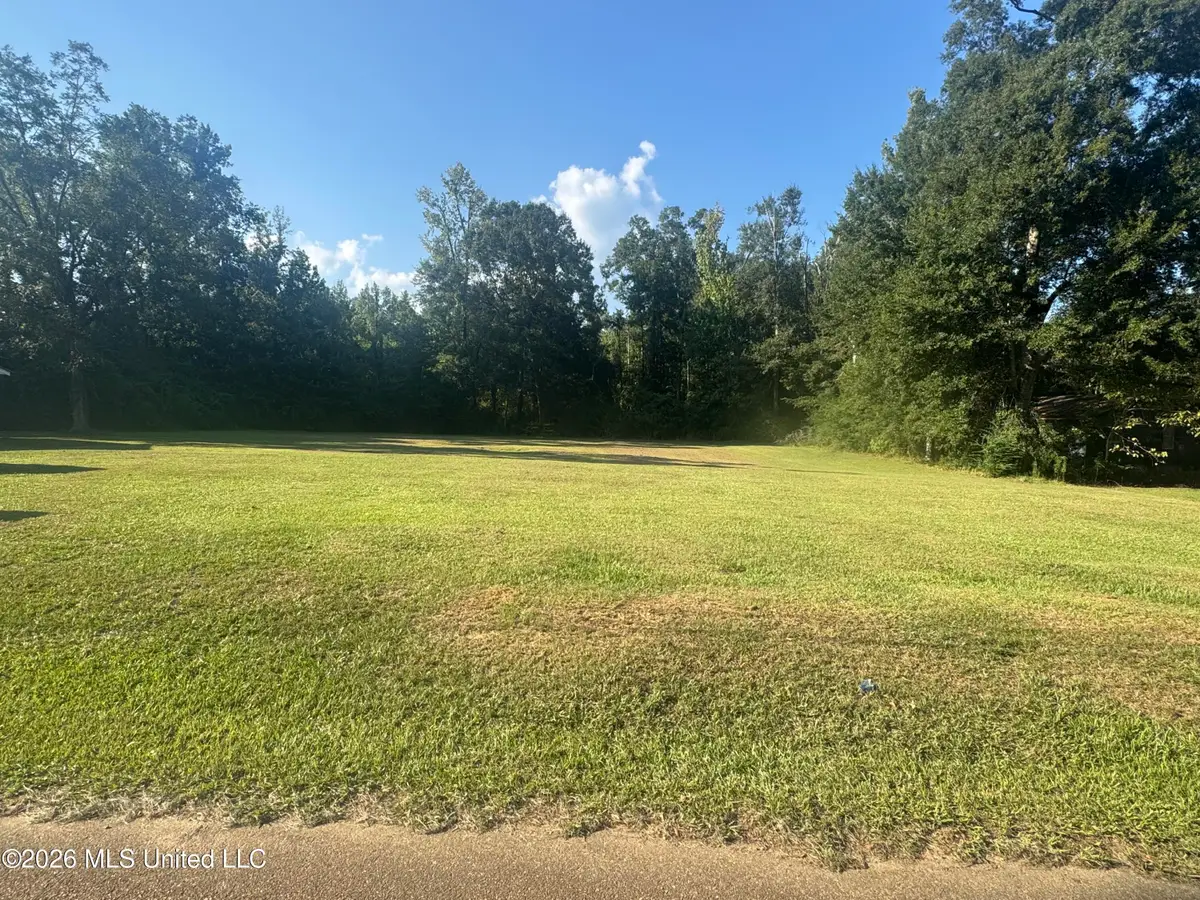 308 Kramer Avenue, Magnolia, MS 39652 - #1