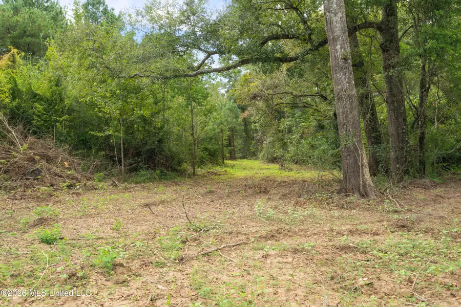 2705 Pilgrims Rest Road, Magnolia, MS 39652 - #3