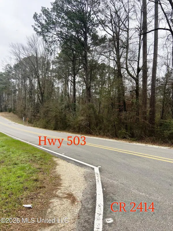 NE Hwy 503, Rose Hill, MS 39356