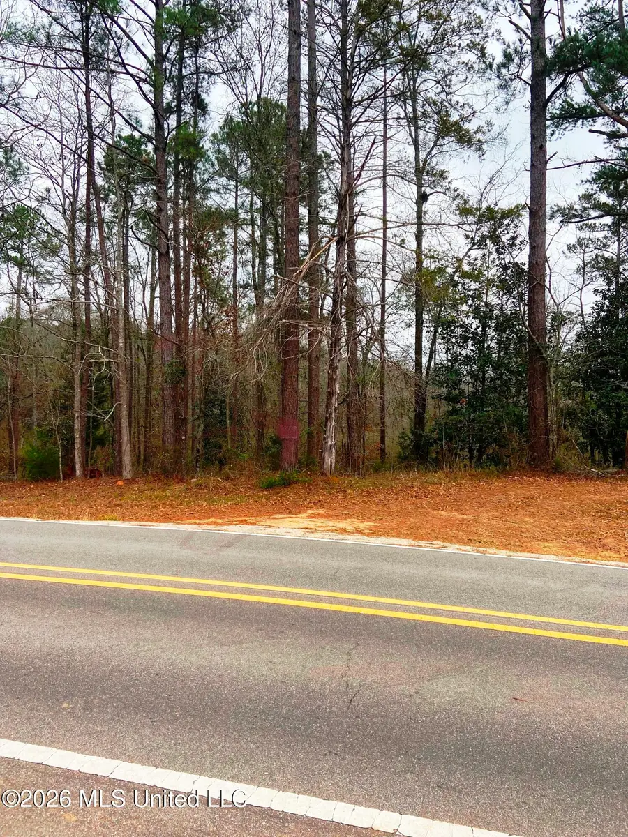 NE Hwy 503, Rose Hill, MS 39356 - #2