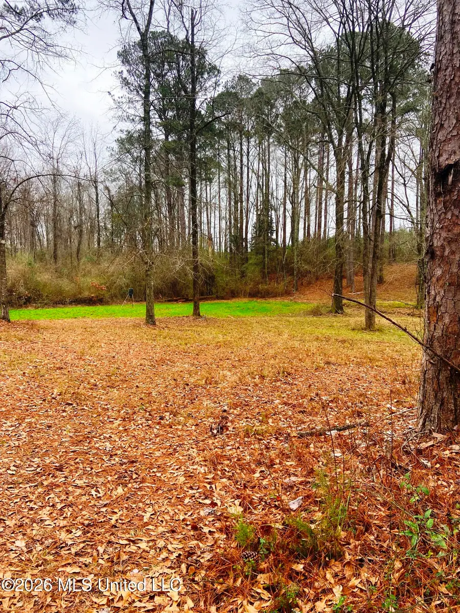 NE Hwy 503, Rose Hill, MS 39356 - #3