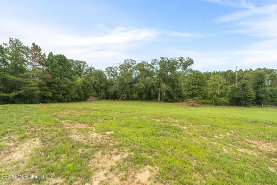 2705 Pilgrims Rest Road, Magnolia, MS 39652 - #3