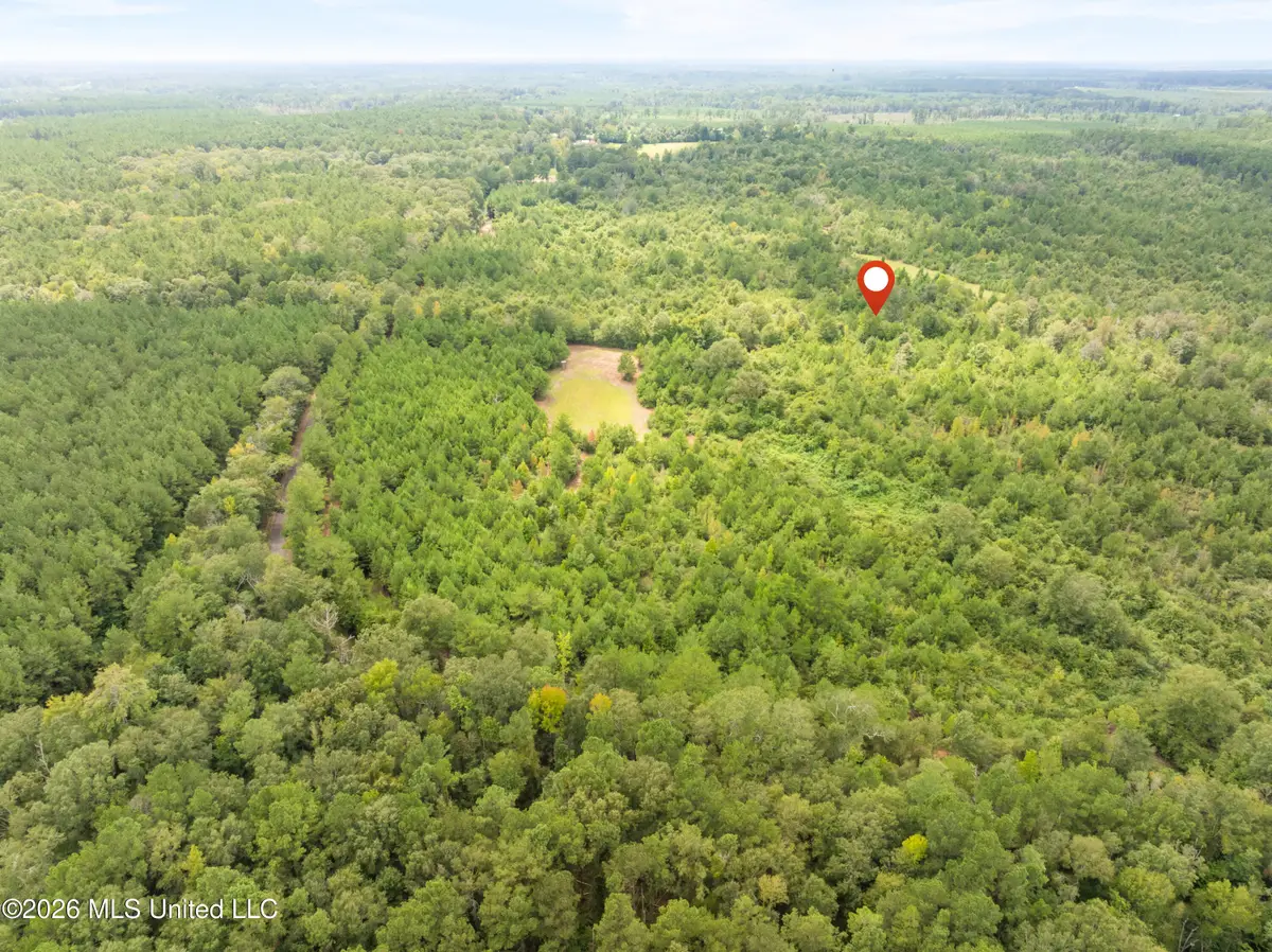 2705 Pilgrims Rest Road, Magnolia, MS 39652 - #1
