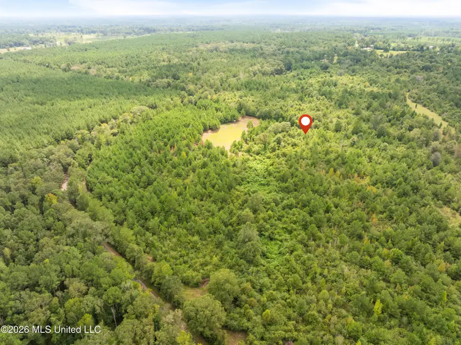 2705 Pilgrims Rest Road, Magnolia, MS 39652 - #2