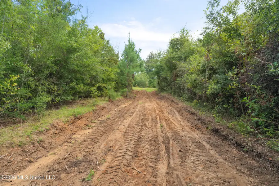 2705 Pilgrims Rest Road, Magnolia, MS 39652 - #3