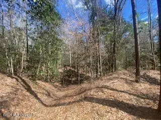 Turkey Creek Road, Natchez, MS 39120