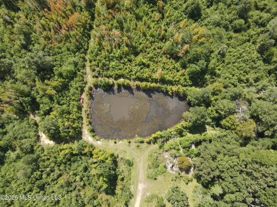 2104 U.s. 51, Bogue Chitto, MS 39629 - #3