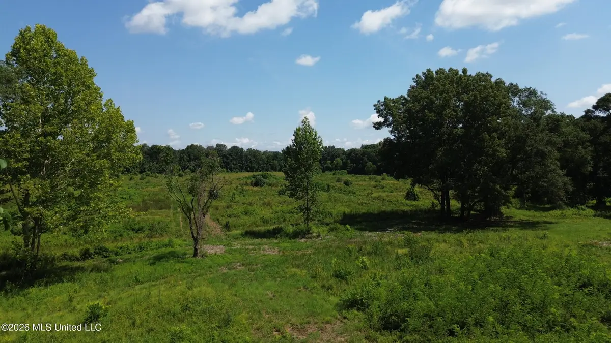 U.s. Highway 51, Gluckstadt, MS 39110 - #1