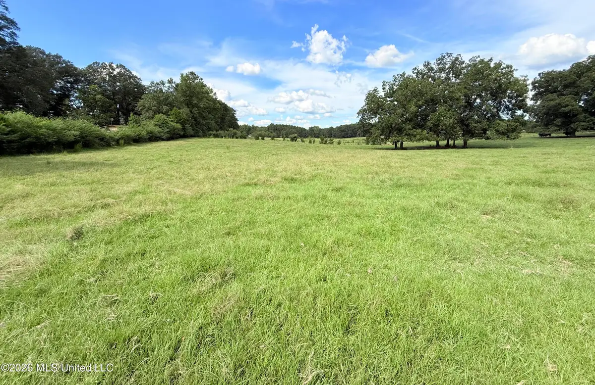 Tbd 1 Montgomery Road, Bogue Chitto, MS 39629 - #1