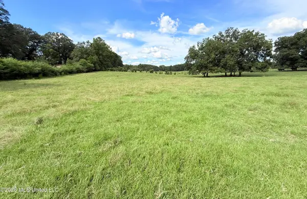 Tbd 1 Montgomery Road, Bogue Chitto, MS 39629