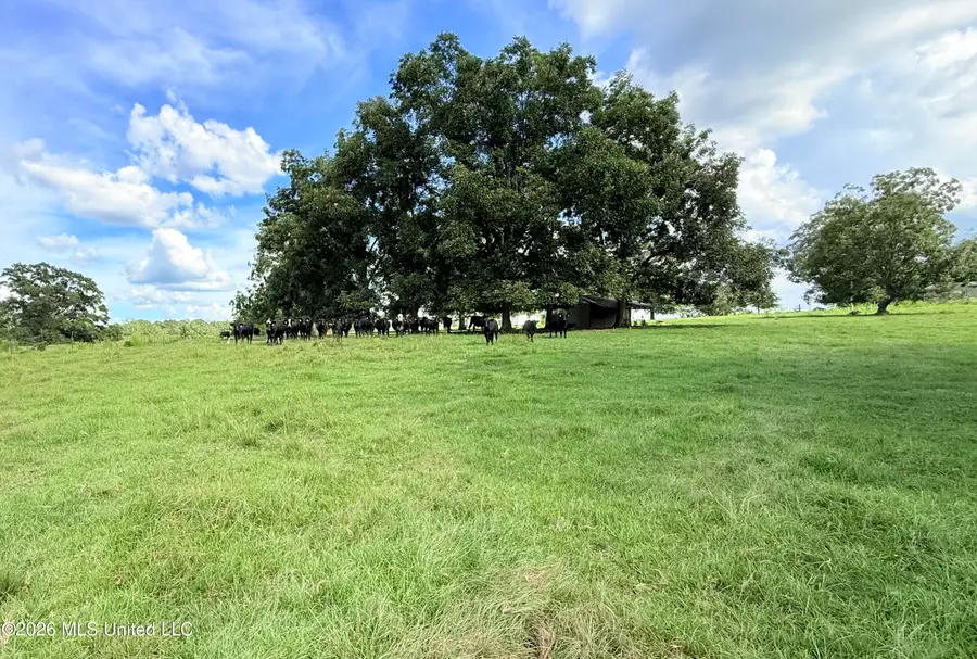 Tbd 2 Montgomery Road, Bogue Chitto, MS 39629 - #2
