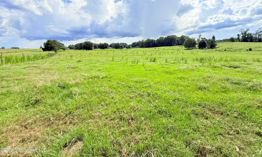 Tbd 2 Montgomery Road, Bogue Chitto, MS 39629 - #3