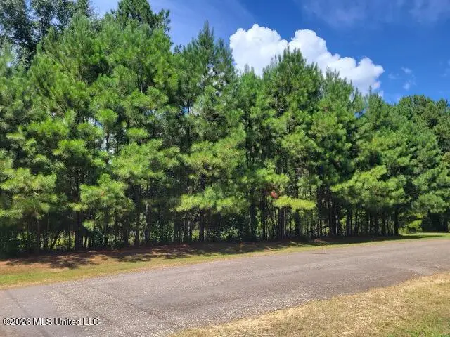 Park, McComb, MS 39648 - #3