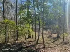 Turkey Creek Road, Natchez, MS 39120 - #3