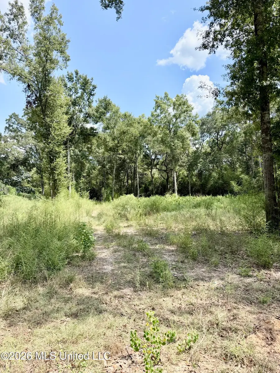 Hwy 63, Moss Point, MS 39562 - #3