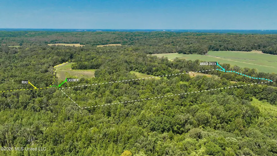 Pleasant Ridge Road, Cruger, MS 38924 - #3