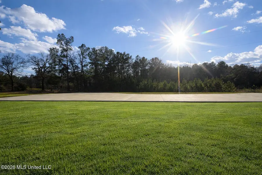 174 Hardy Williams Road, Pinola, MS 39149 - #3