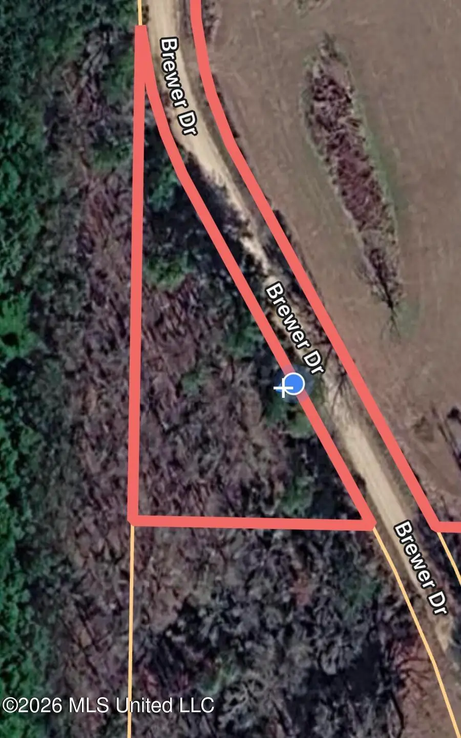 Brewer Drive, Forest, MS 39074 - #3