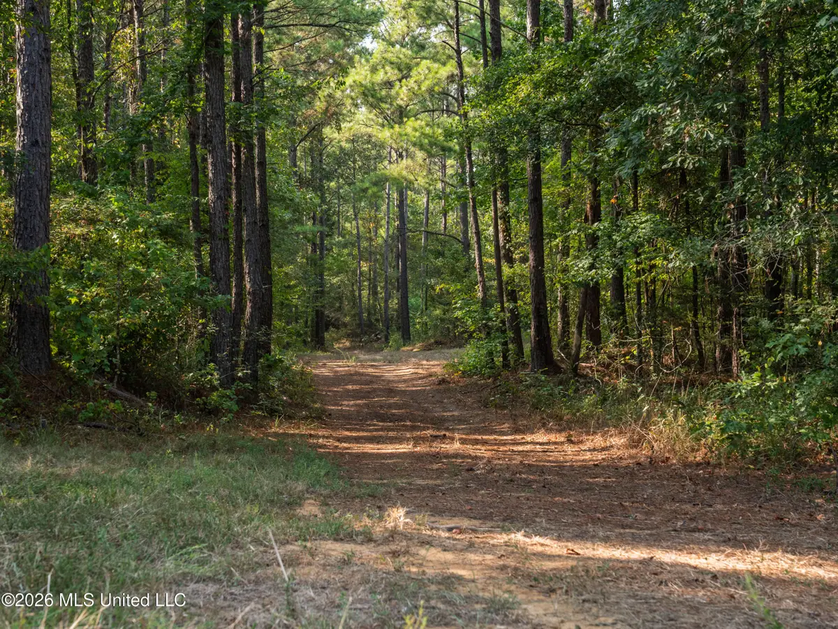 884 Truitt Road, Pickens, MS 39146 - #1
