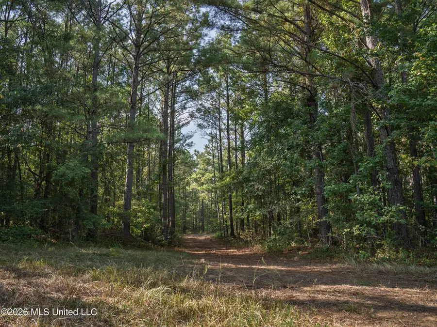 884 Truitt Road, Pickens, MS 39146 - #3