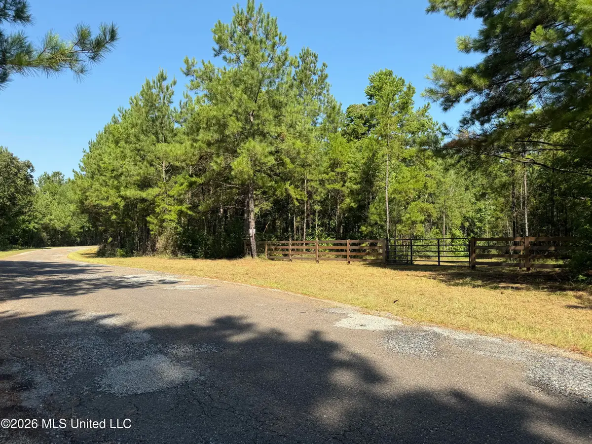 Jerusalem Road, Liberty, MS 39645 - #1