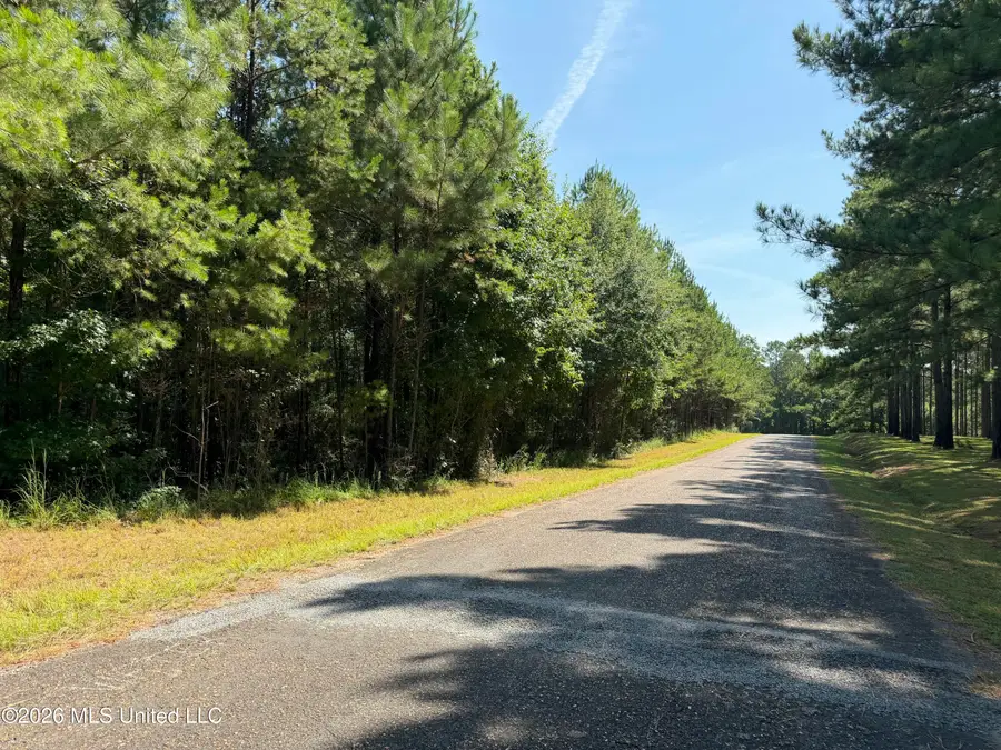 Jerusalem Road, Liberty, MS 39645 - #2