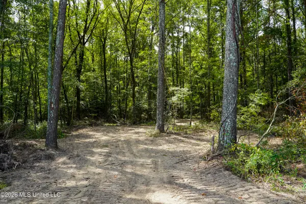 Johns Shiloh Road, Brandon, MS 39042