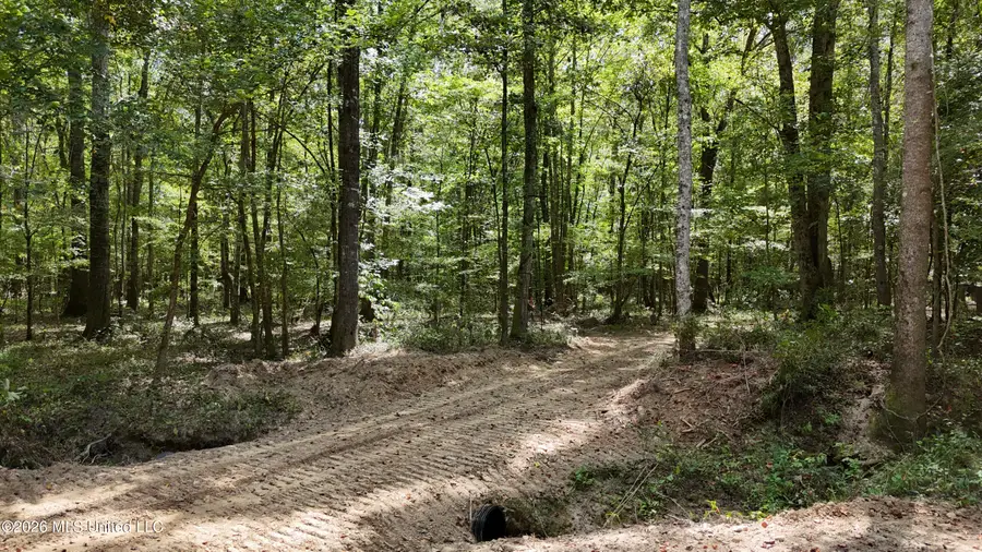 Johns Shiloh Road, Brandon, MS 39042 - #3