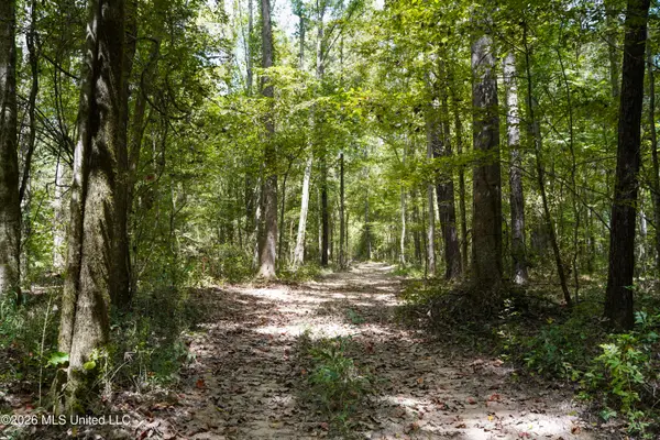 Mcintyre Road, Brandon, MS 39042