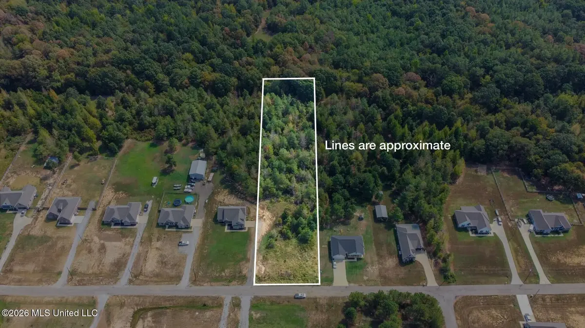 131 Deerfield Trace, Coldwater, MS 38618 - #1