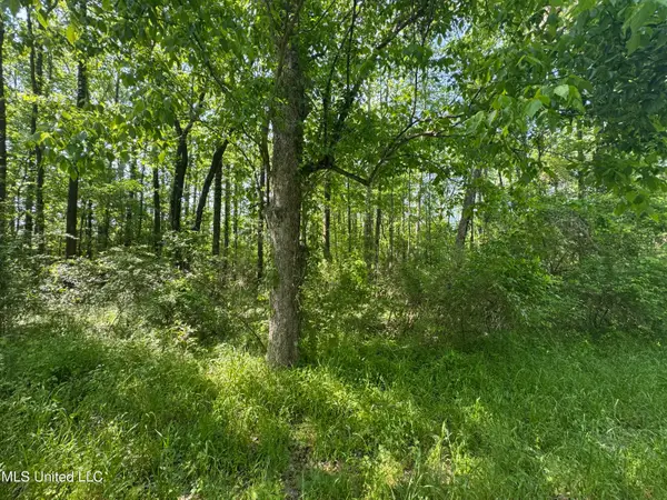 Old Hwy 471, Brandon, MS 39042