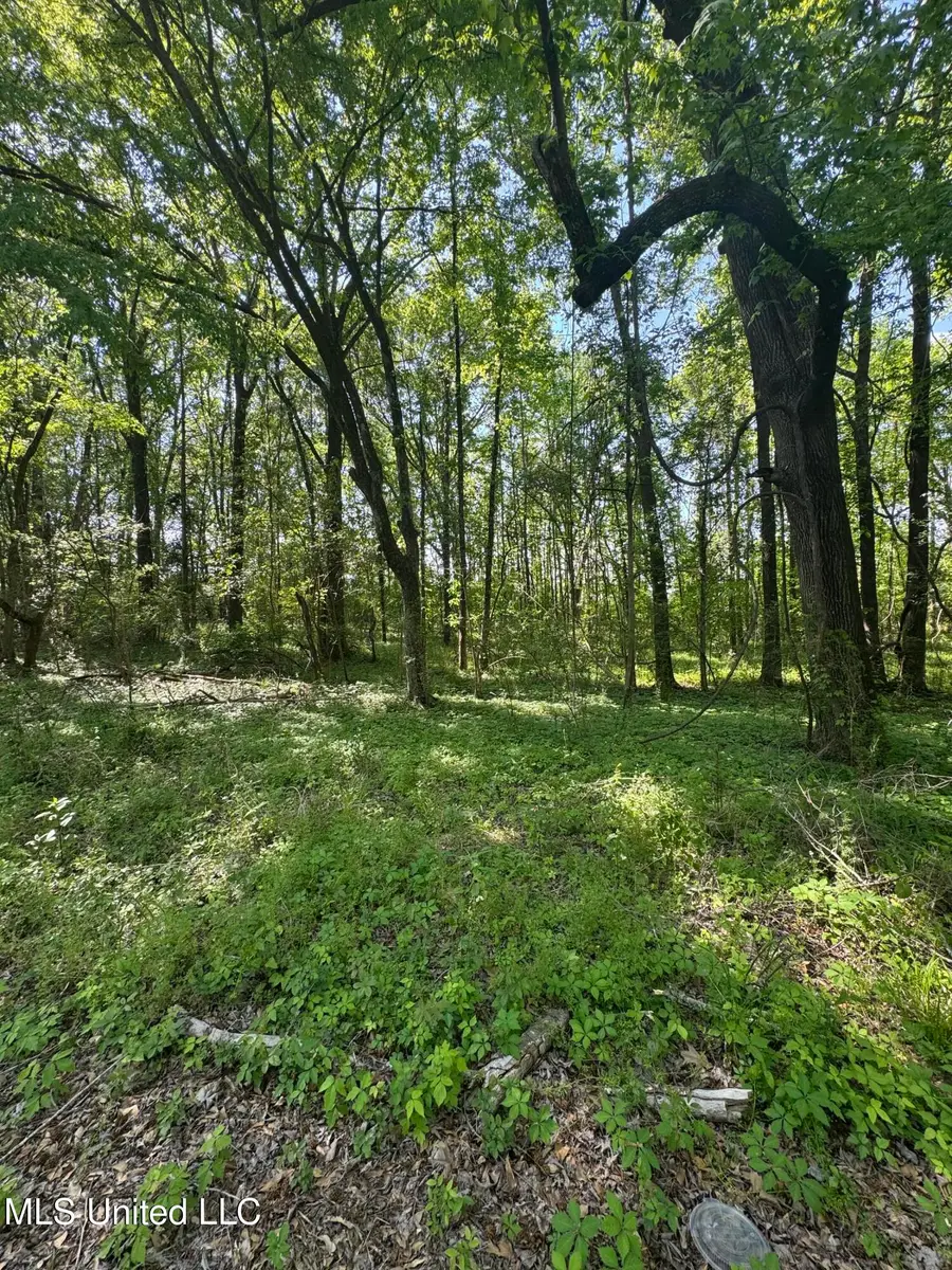 Old Hwy 471, Brandon, MS 39042 - #2