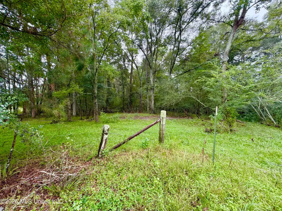 Rock Hill Church Road, Sumrall, MS 39482 - #2