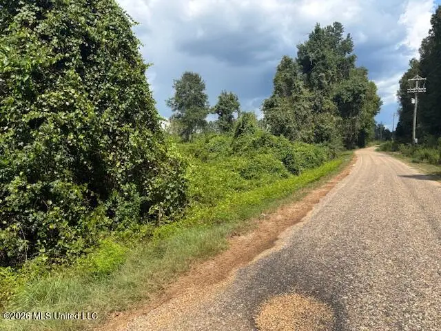 Ms-583, Tylertown, MS 39667 - #2