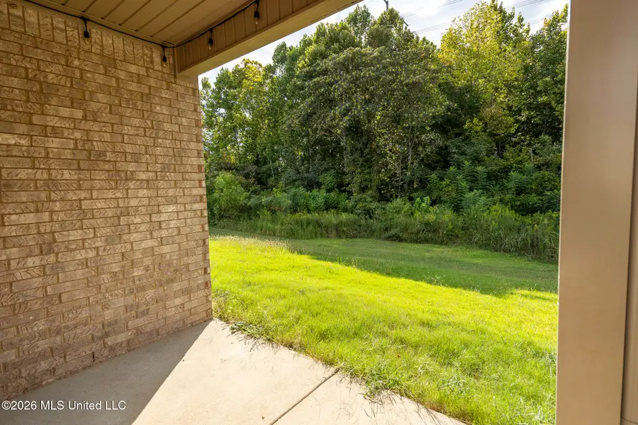8781 Mary Frances Drive, Southaven, MS 38671 - #3