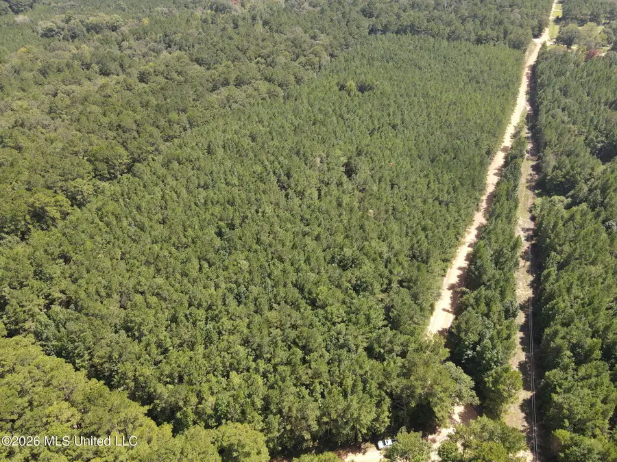 . Mt Gilead, Smithdale, MS 39664 - #2