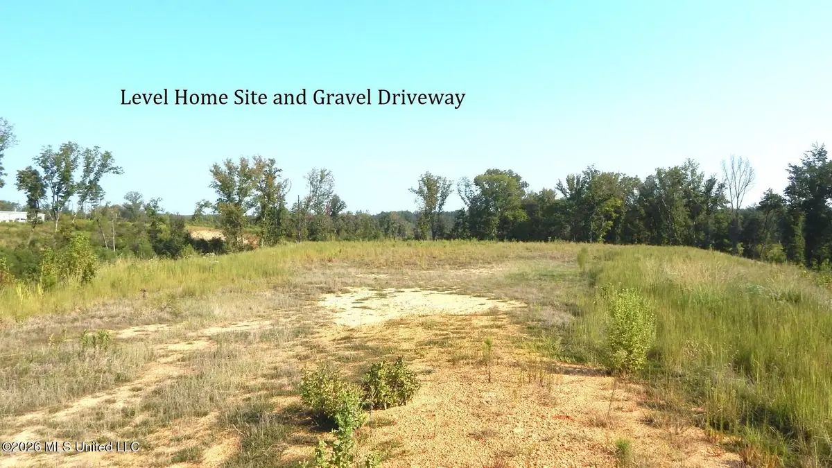 780 Storm Cove, Grenada, MS 38901 - #1