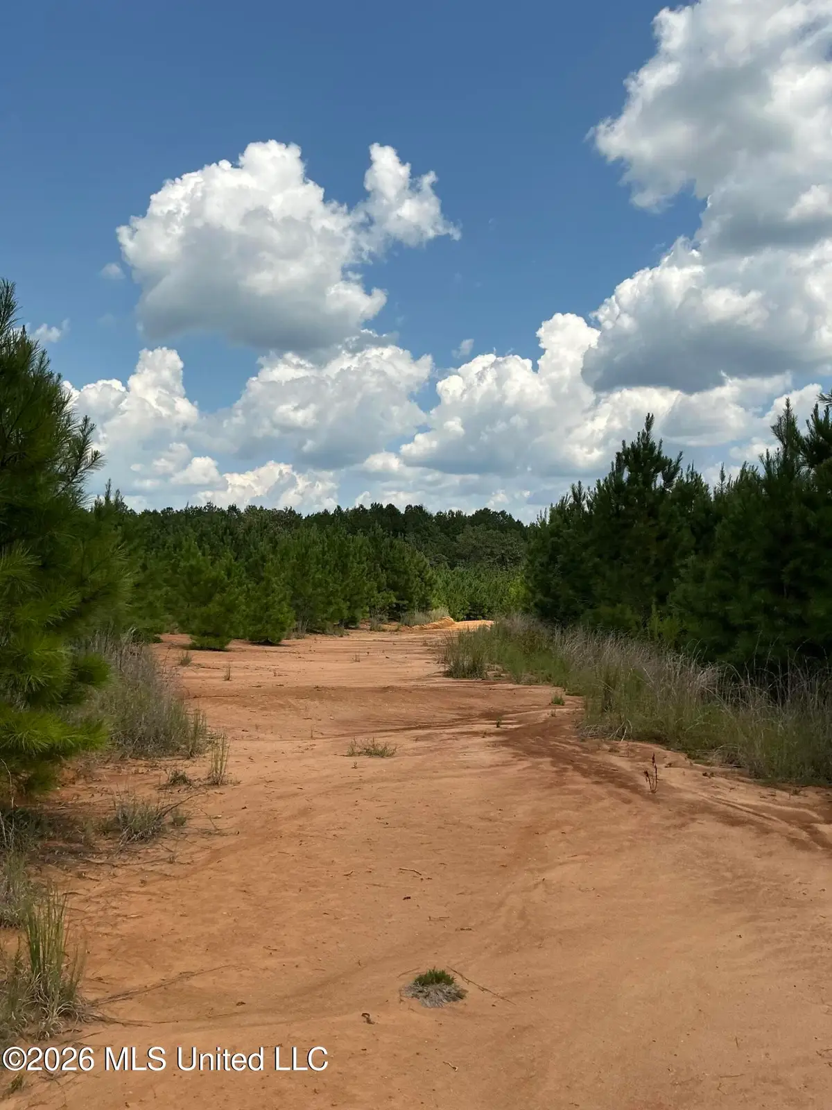 Smithtown Road, Tylertown, MS 39667 - #1